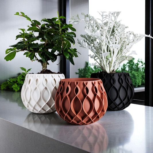 Three decorative pots with plants on a reflective surface