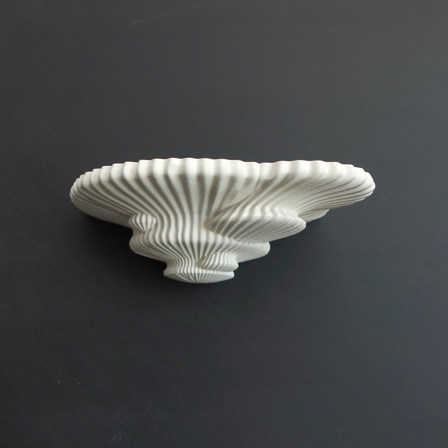 3D printed mushroom-inspired wall shelf with organic sculptural design, made from white PLA and includes mounting hardware and tape.