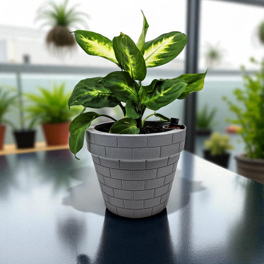 A clever and charming Worm Rise Planter featuring a worm-shaped water indicator that rises to signal when the plant has enough water. Perfect for plant lovers who value functionality and fun design