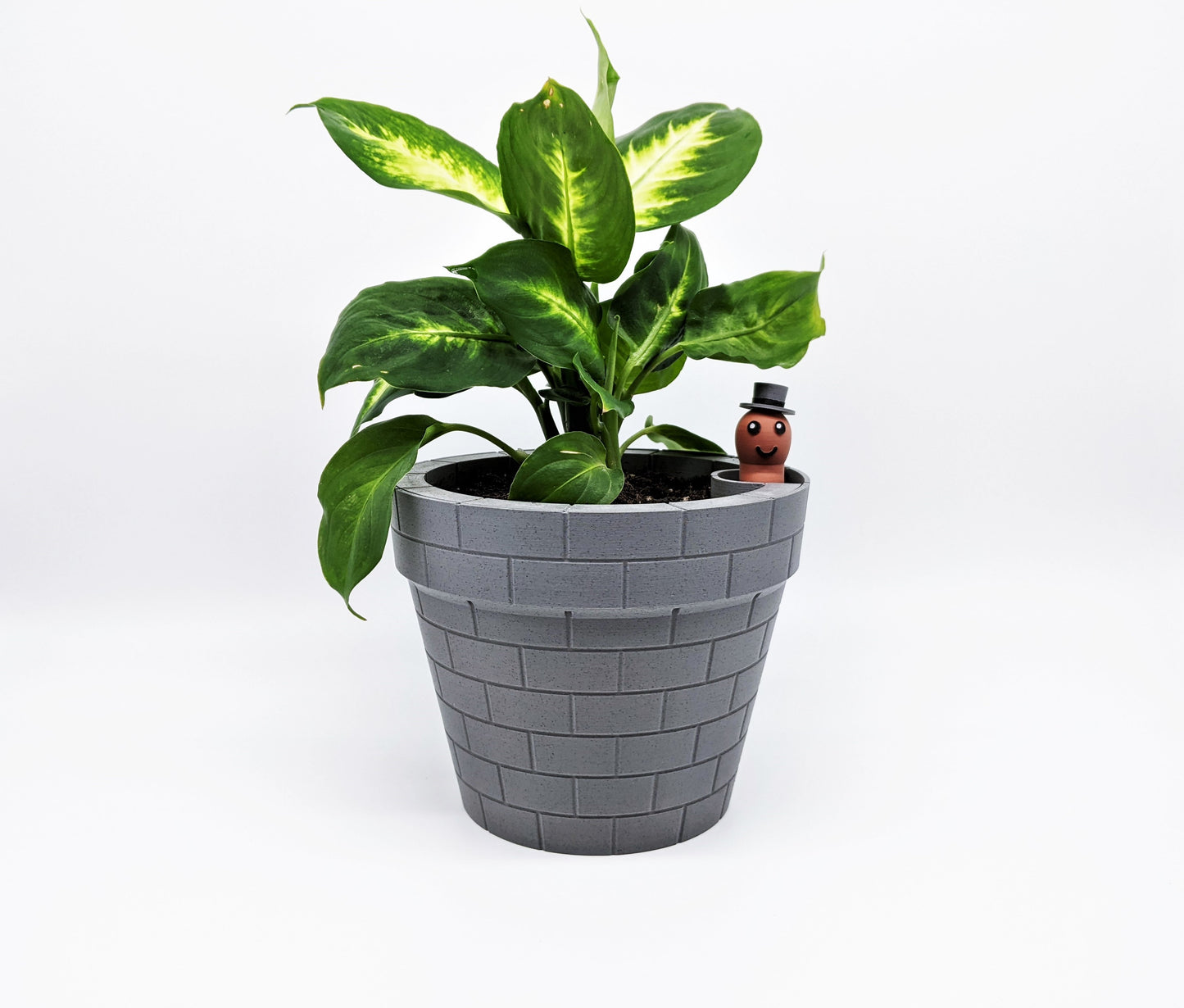 worm rise planter self-raising 3d planter with smart watering system for plants