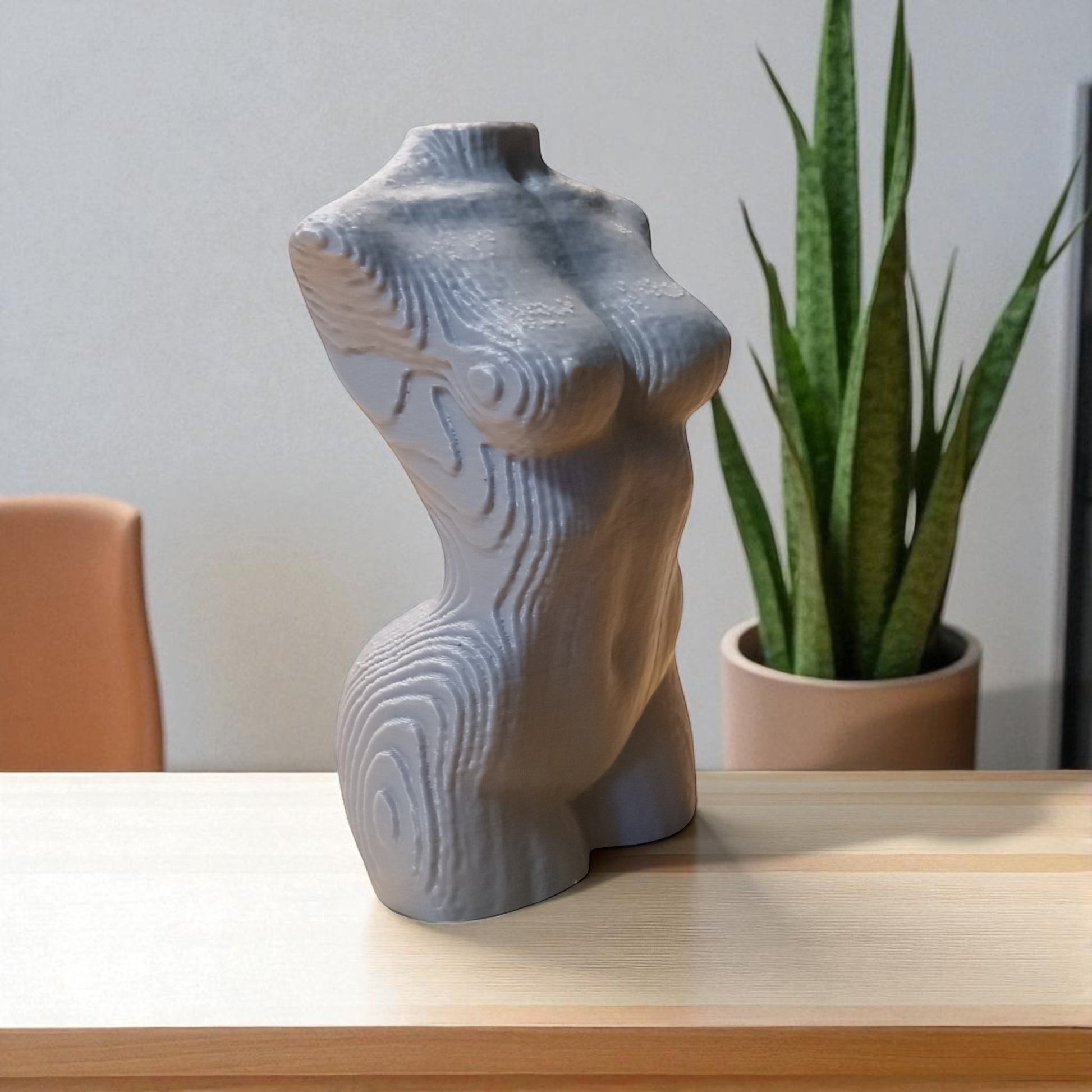Gray abstract sculpture on a wooden surface with a plant in the background