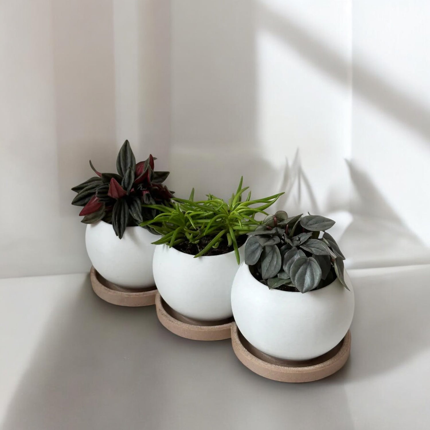 Trio Planter – Bubble-Inspired Planter with Tray for Stylish Indoor Greenery
