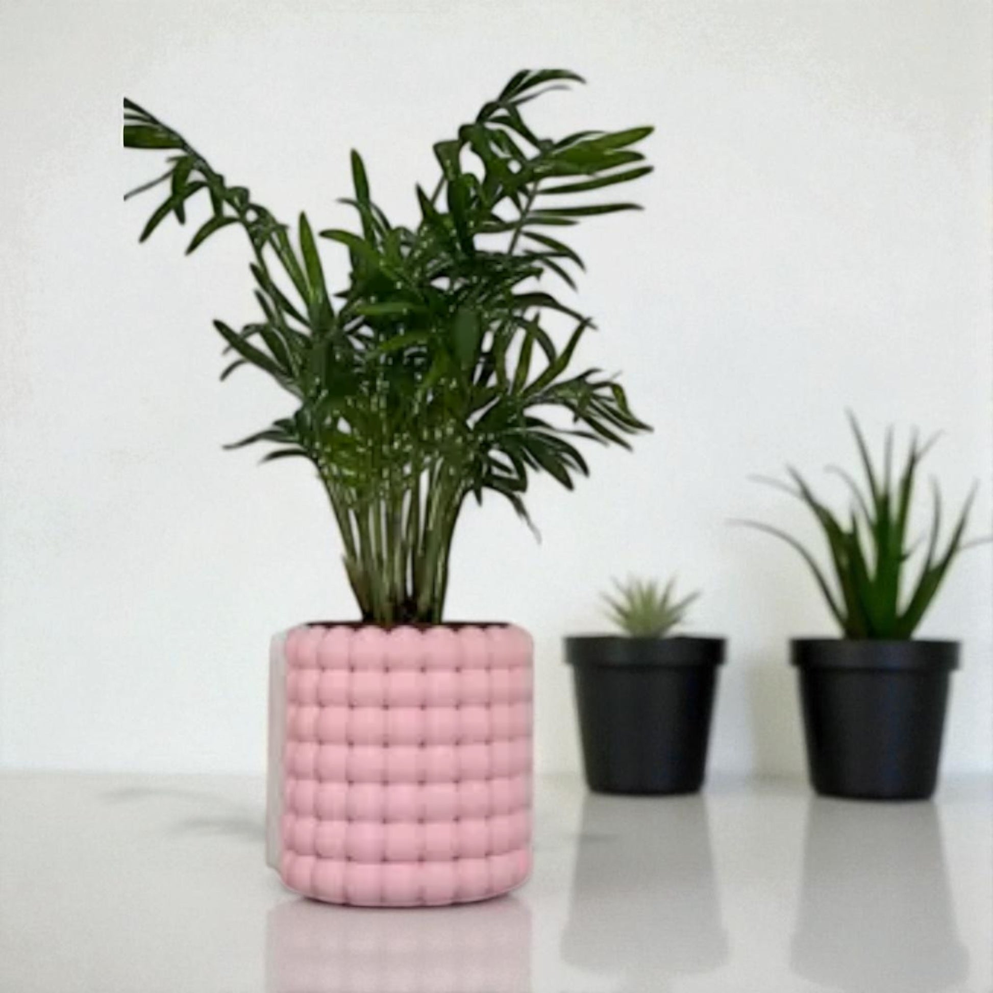 Modern black wall-mounted planter with a bubble texture design, holding a green succulent plant. Includes mounting bracket for screws or adhesive and a built-in water tray.