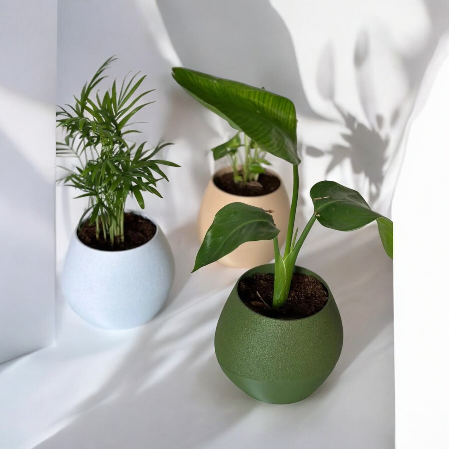 hydro pot advanced self-watering planter for effortless plant care and growth