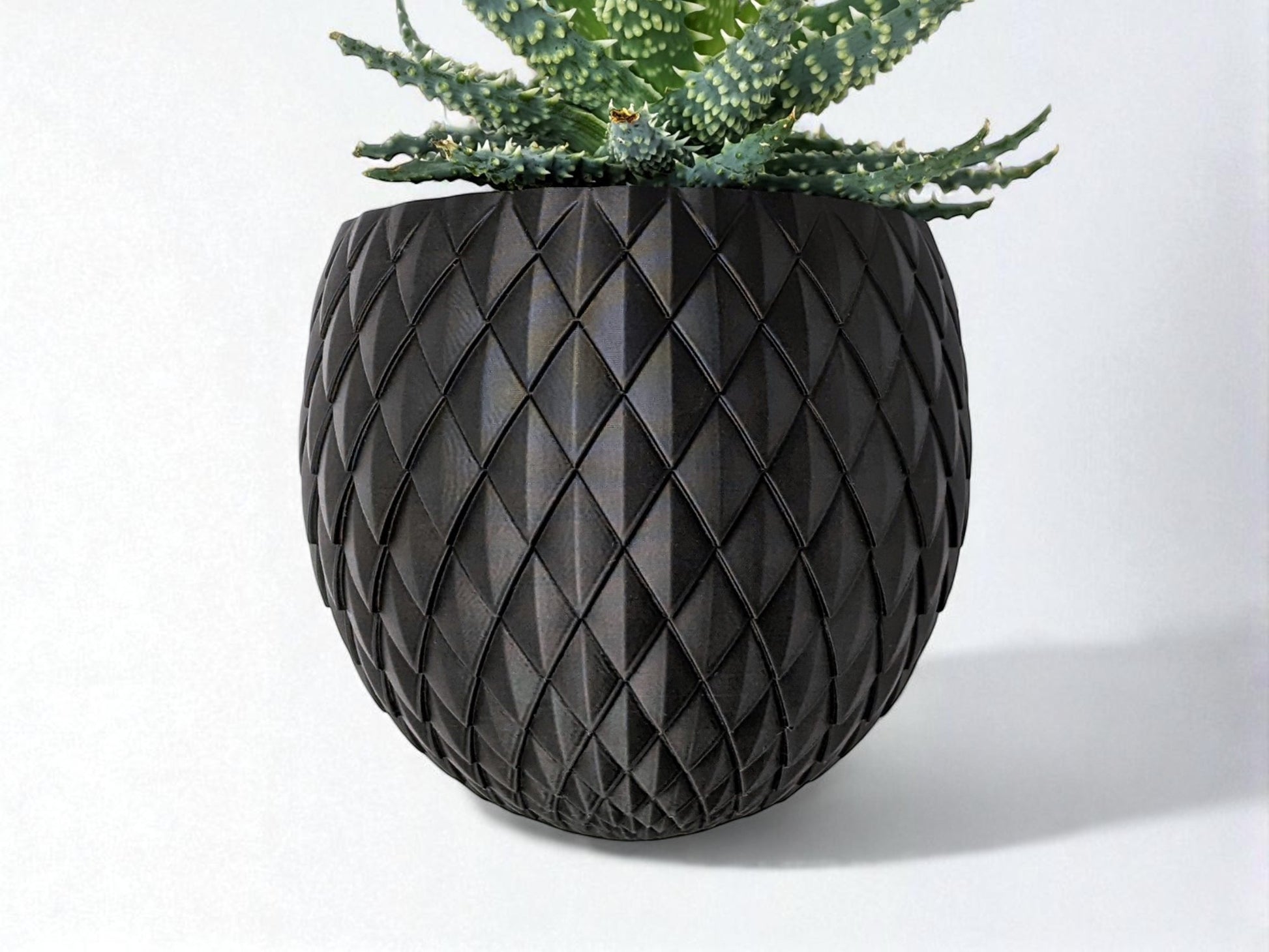 Wall-mounted planter named 'Egg Dragon,' featuring a unique egg shape. This versatile planter pot can be secured with screws or adhesive, adding a touch of greenery and style to any wall space