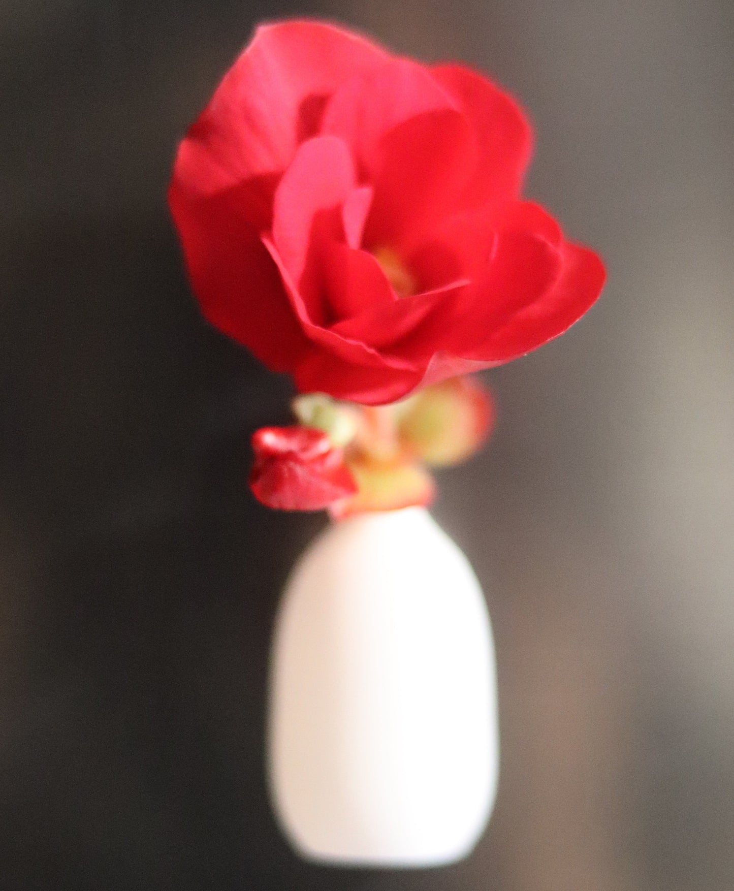 set of 5 red and white magnetic mini christmas vases displayed on a fridge – modern holiday home décor