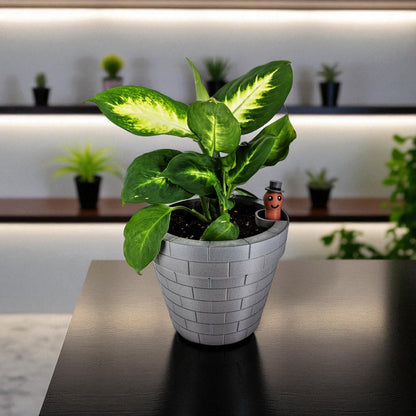A clever and charming Worm Rise Planter featuring a worm-shaped water indicator that rises to signal when the plant has enough water. Perfect for plant lovers who value functionality and fun design