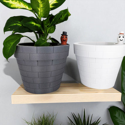 A clever and charming Worm Rise Planter featuring a worm-shaped water indicator that rises to signal when the plant has enough water. Perfect for plant lovers who value functionality and fun design