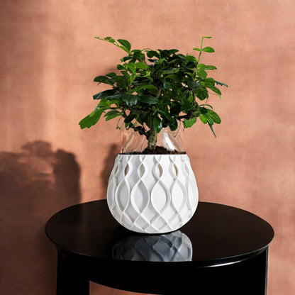 Bellvere Planter Pot with Tray Modern 3D Printed Design Elegant Home Décor Style