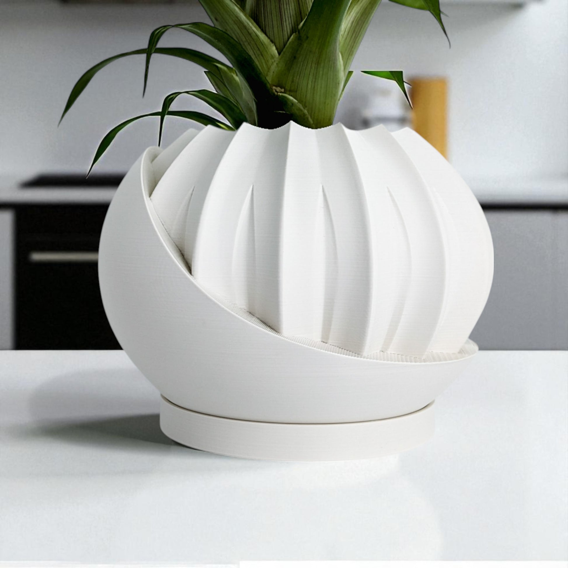 a modern 3D-printed plant pot with a hidden storage box, perfect for keeping small items discreetly tucked away. This unique design combines functionality with style, making it a standout piece for your home decor.
