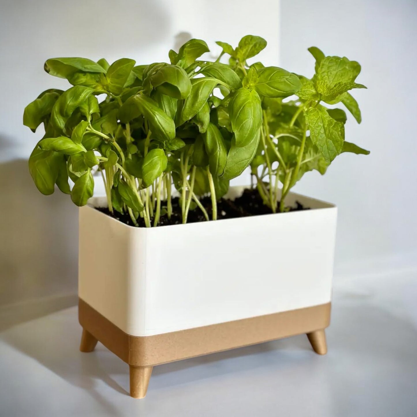 herb haven planter stylish self-draining herb planter with footed tray & twin option for indoor gardens