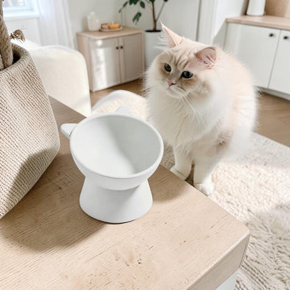 Personalised elevated cat bowl with custom pet name in modern neutral home setting
Raised cat feeding bowl with cat ear design and customisable pet name
Minimalist elevated pet bowl designed to support better cat eating posture