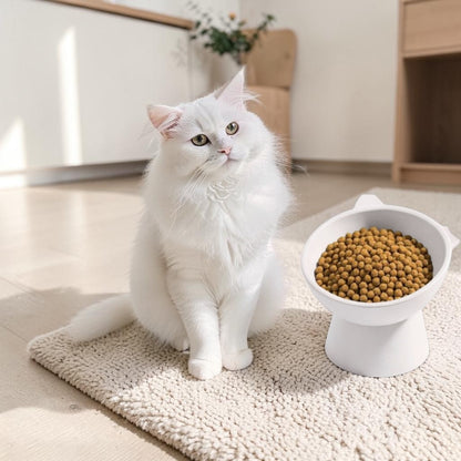Personalised elevated cat bowl with custom pet name in modern neutral home setting
Raised cat feeding bowl with cat ear design and customisable pet name
Minimalist elevated pet bowl designed to support better cat eating posture