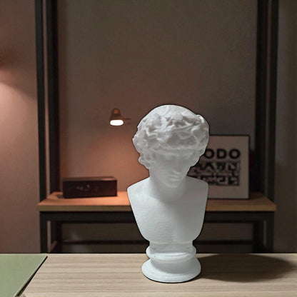 A detailed bust of Michelangelo’s David, capturing the timeless elegance and strength of this classical masterpiece. This sculpture adds an artistic and sophisticated touch to any decor, embodying the iconic beauty of Renaissance art