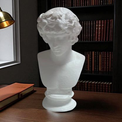 A detailed bust of Michelangelo’s David, capturing the timeless elegance and strength of this classical masterpiece. This sculpture adds an artistic and sophisticated touch to any decor, embodying the iconic beauty of Renaissance art