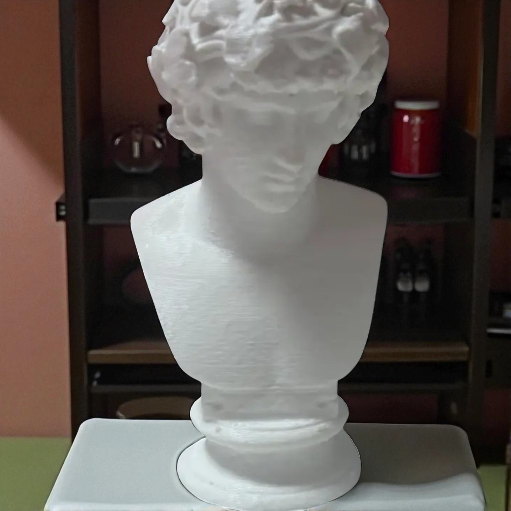 A detailed bust of Michelangelo’s David, capturing the timeless elegance and strength of this classical masterpiece. This sculpture adds an artistic and sophisticated touch to any decor, embodying the iconic beauty of Renaissance art