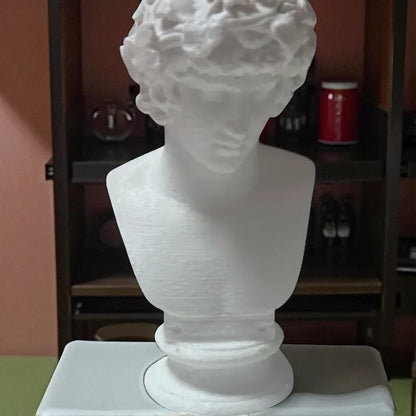 A detailed bust of Michelangelo’s David, capturing the timeless elegance and strength of this classical masterpiece. This sculpture adds an artistic and sophisticated touch to any decor, embodying the iconic beauty of Renaissance art