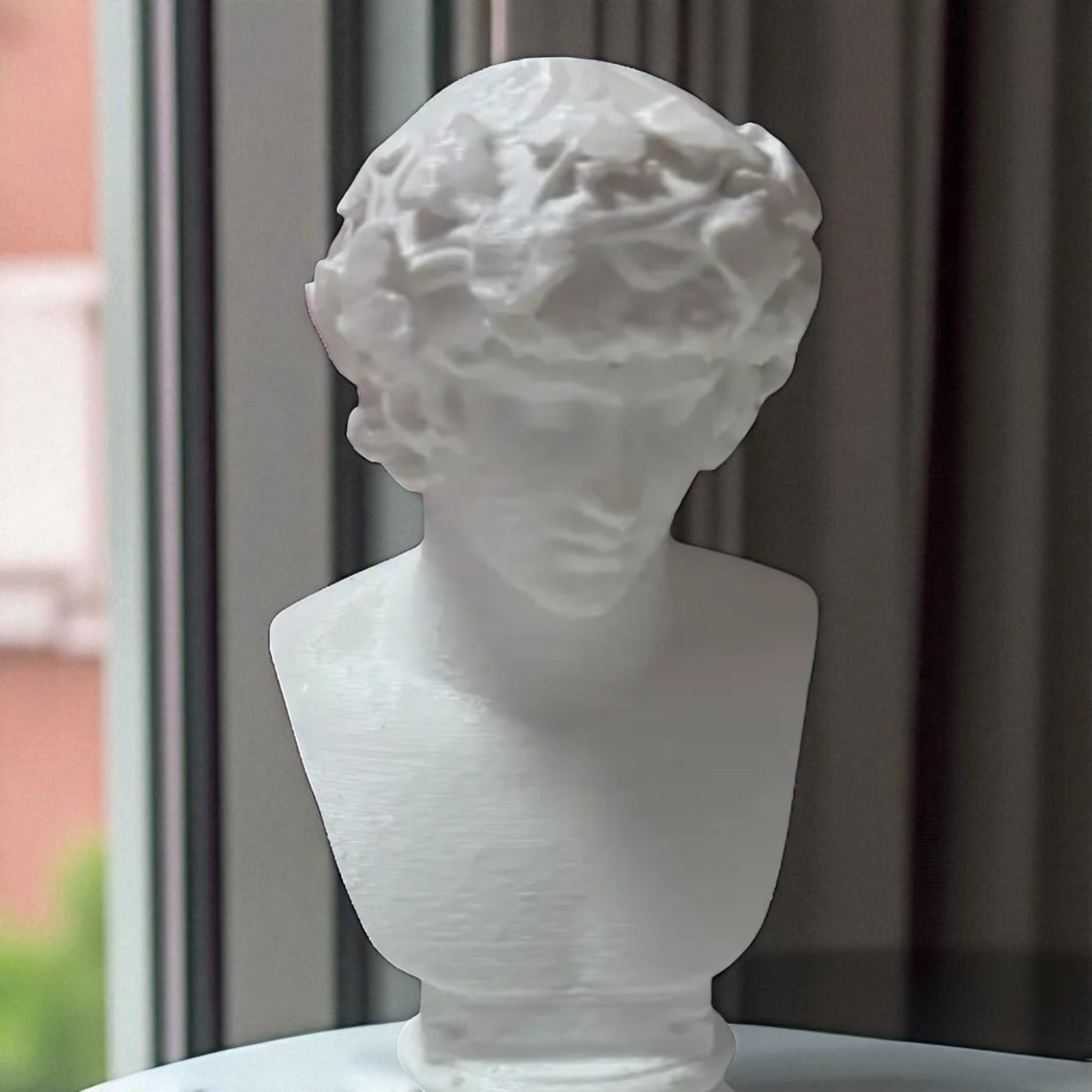 A detailed bust of Michelangelo’s David, capturing the timeless elegance and strength of this classical masterpiece. This sculpture adds an artistic and sophisticated touch to any decor, embodying the iconic beauty of Renaissance art
