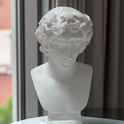 A detailed bust of Michelangelo’s David, capturing the timeless elegance and strength of this classical masterpiece. This sculpture adds an artistic and sophisticated touch to any decor, embodying the iconic beauty of Renaissance art