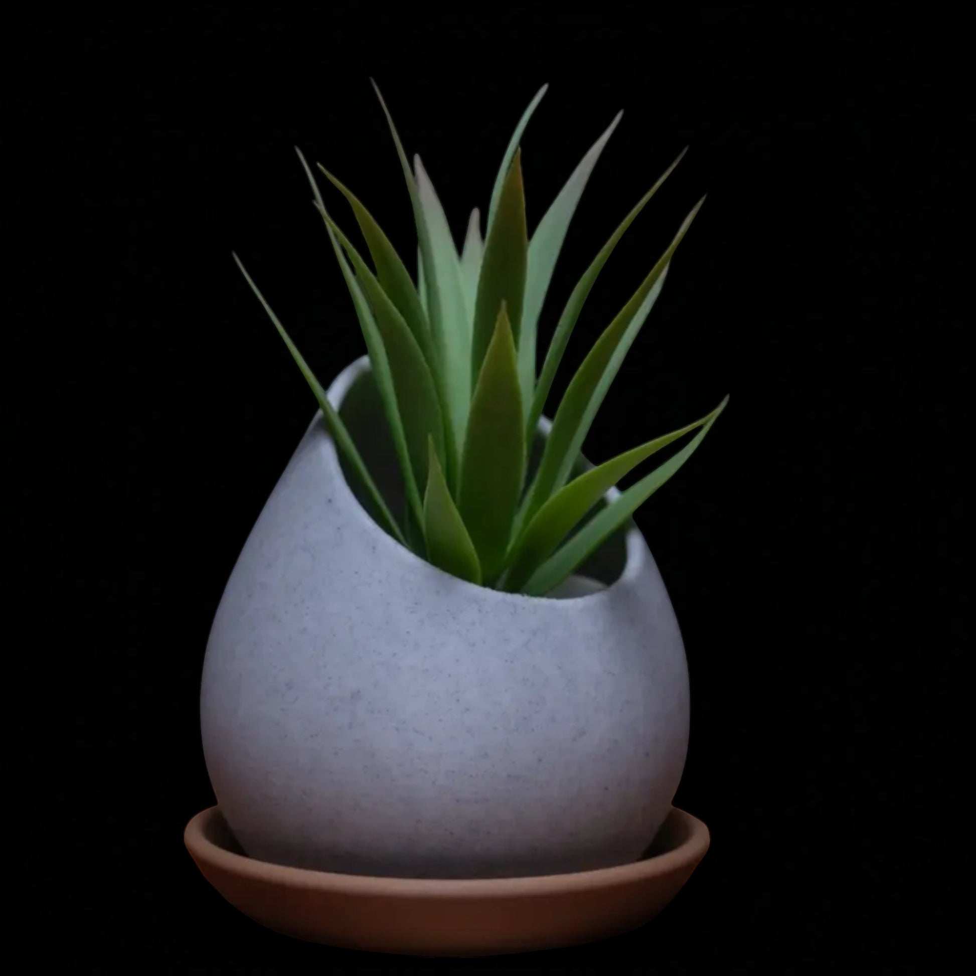 Raindrop Planter a stylish planter pot designed in the elegant shape of a raindrop, perfect for adding a modern and natural touch to your indoor or outdoor gardening