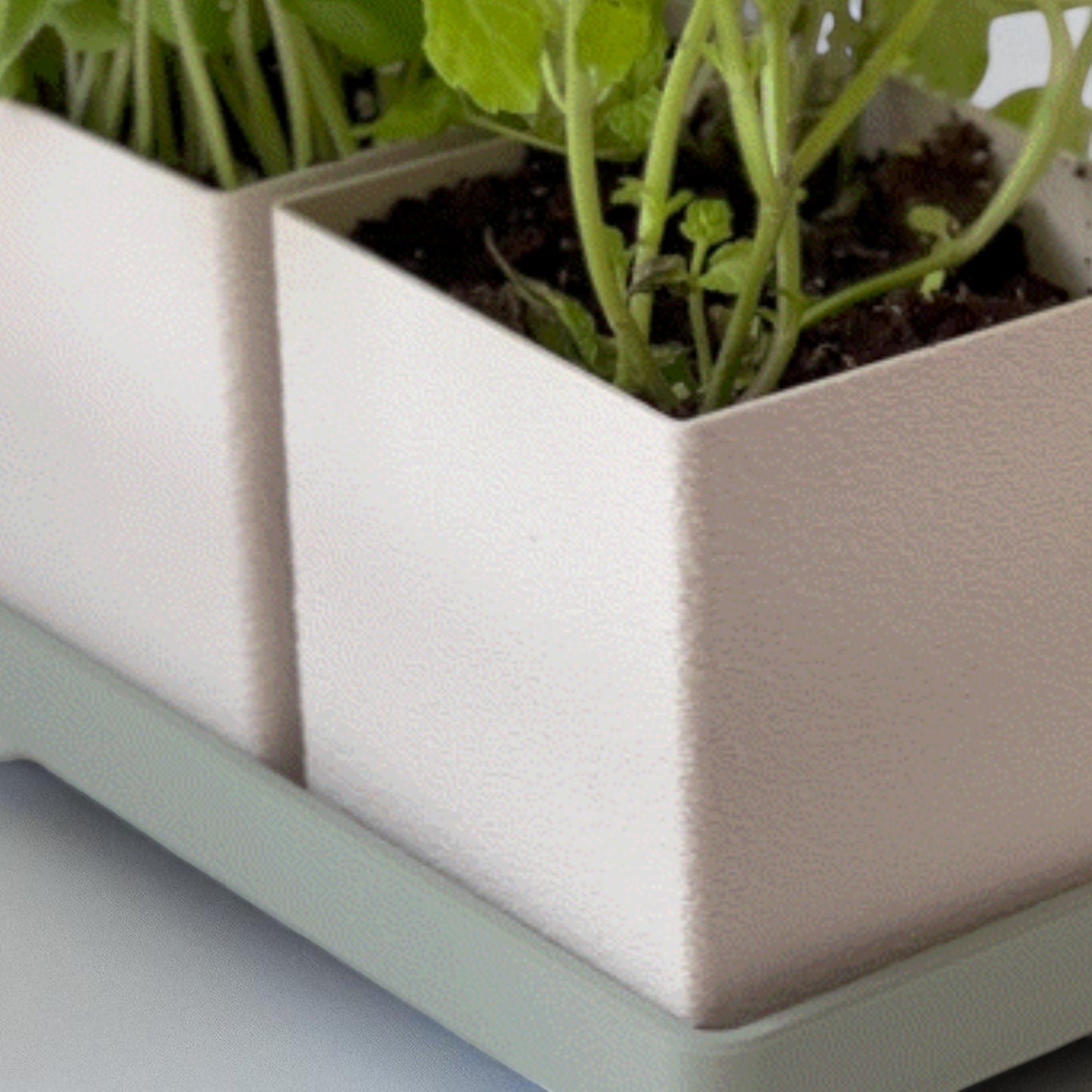 planter a versatile planter available in a single-piece design with a tray or a twin planter set with a shared tray, both featuring trays with raised feet for stability and style, perfect for growing herbs indoors or outdoors.