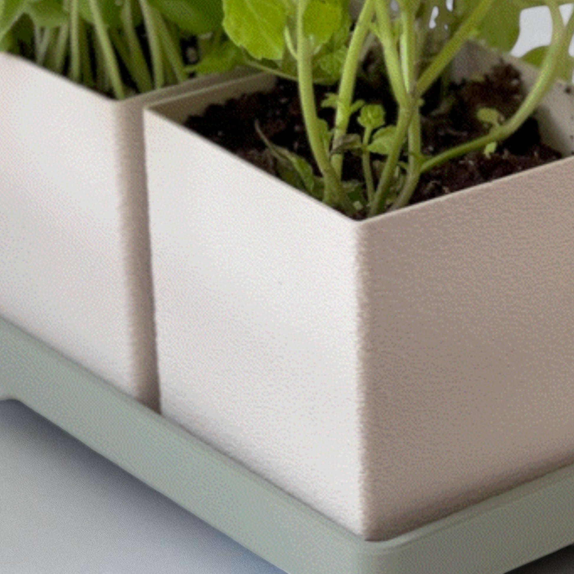Planter a versatile planter available in a single-piece design with a tray or a twin planter set with a shared tray, both featuring trays with raised feet for stability and style, perfect for growing herbs indoors or outdoors.