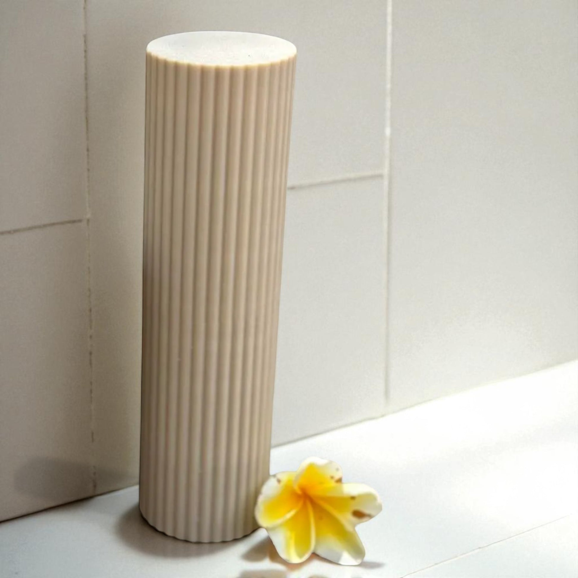 A compact and travel-friendly toothbrush and soap holder set, designed to fit neatly in your luggage. Perfect for keeping your hygiene essentials organized and clean while on the go.