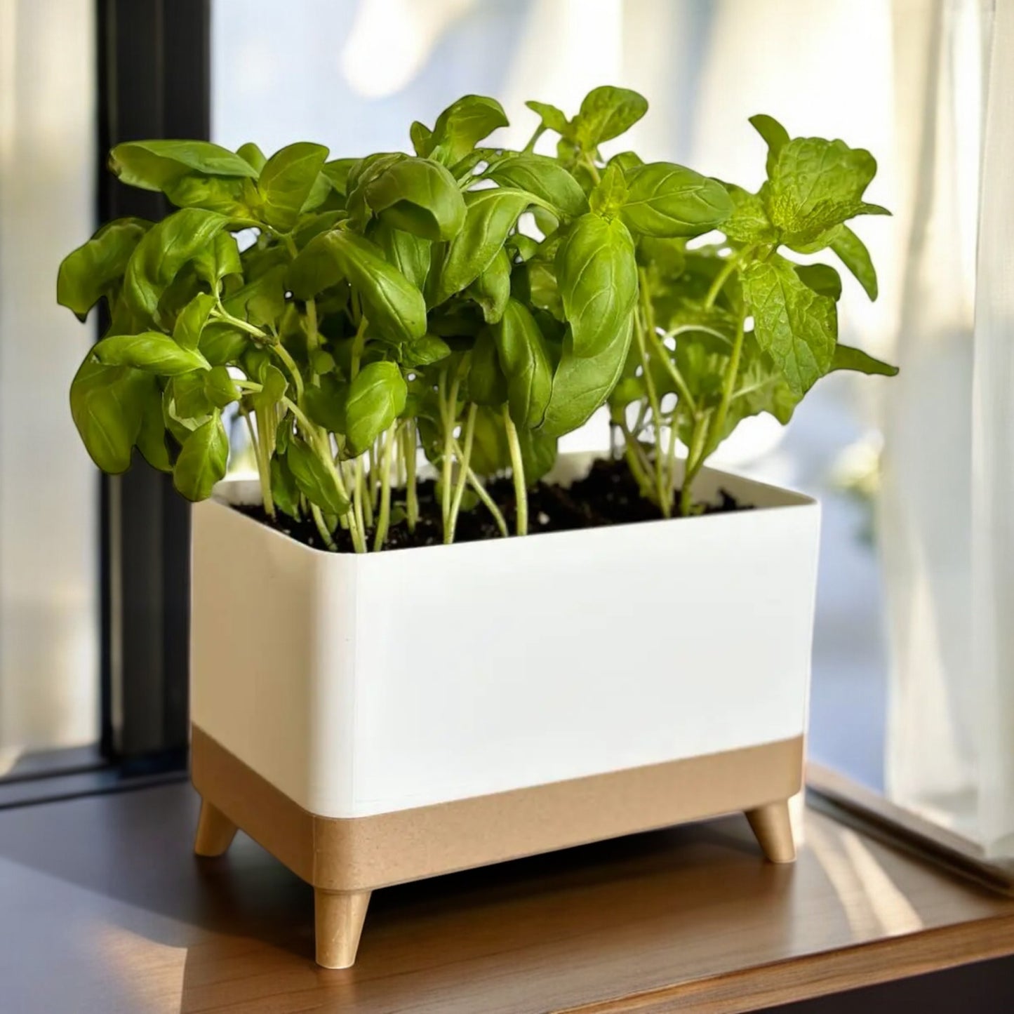 planter a versatile planter available in a single-piece design with a tray or a twin planter set with a shared tray, both featuring trays with raised feet for stability and style, perfect for growing herbs indoors or outdoors.