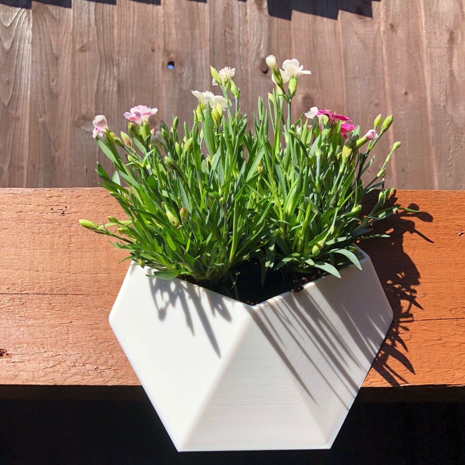 exagon wall planter in modern geometric shape, perfect for small plants like succulents and herbs. Lightweight, durable, and easy to hang, ideal for indoor or outdoor decor