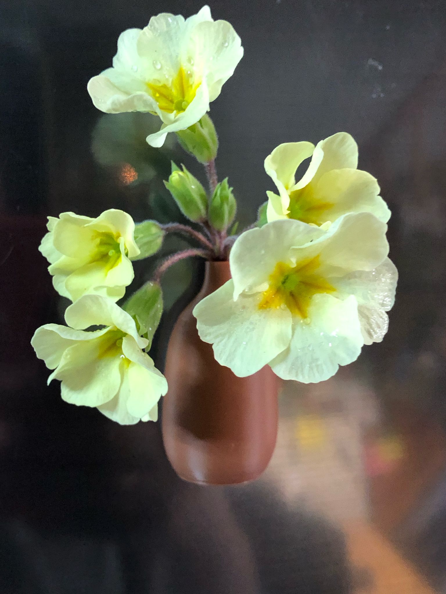 Set of 5 small magnetic mini vases in random earthy brown tones, 3D printed with a modern design, displayed on a fridge holding tiny flowers.

