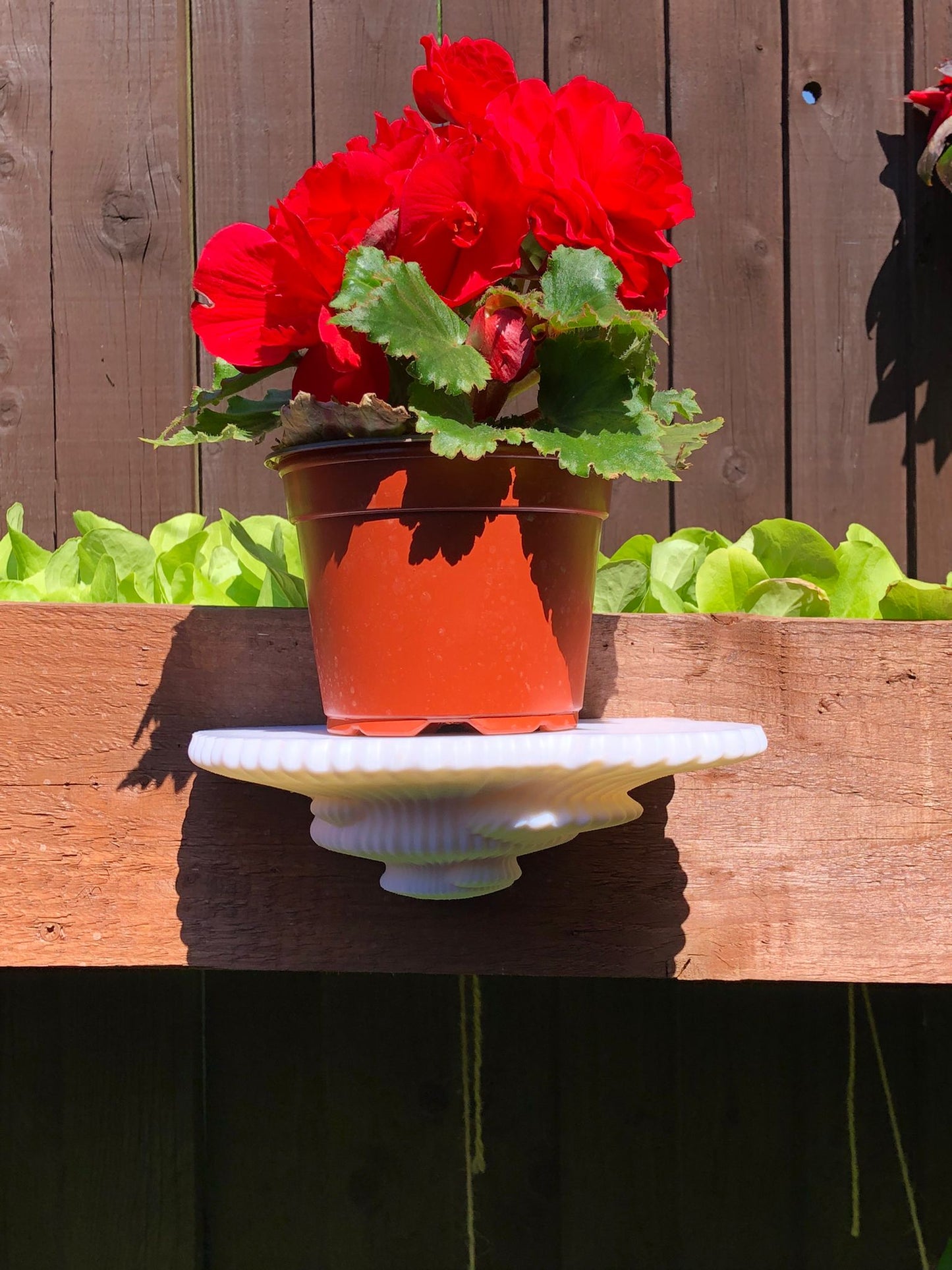 3d printed mushroom-inspired wall shelf with organic sculptural design, made from white pla and includes mounting hardware and tape.