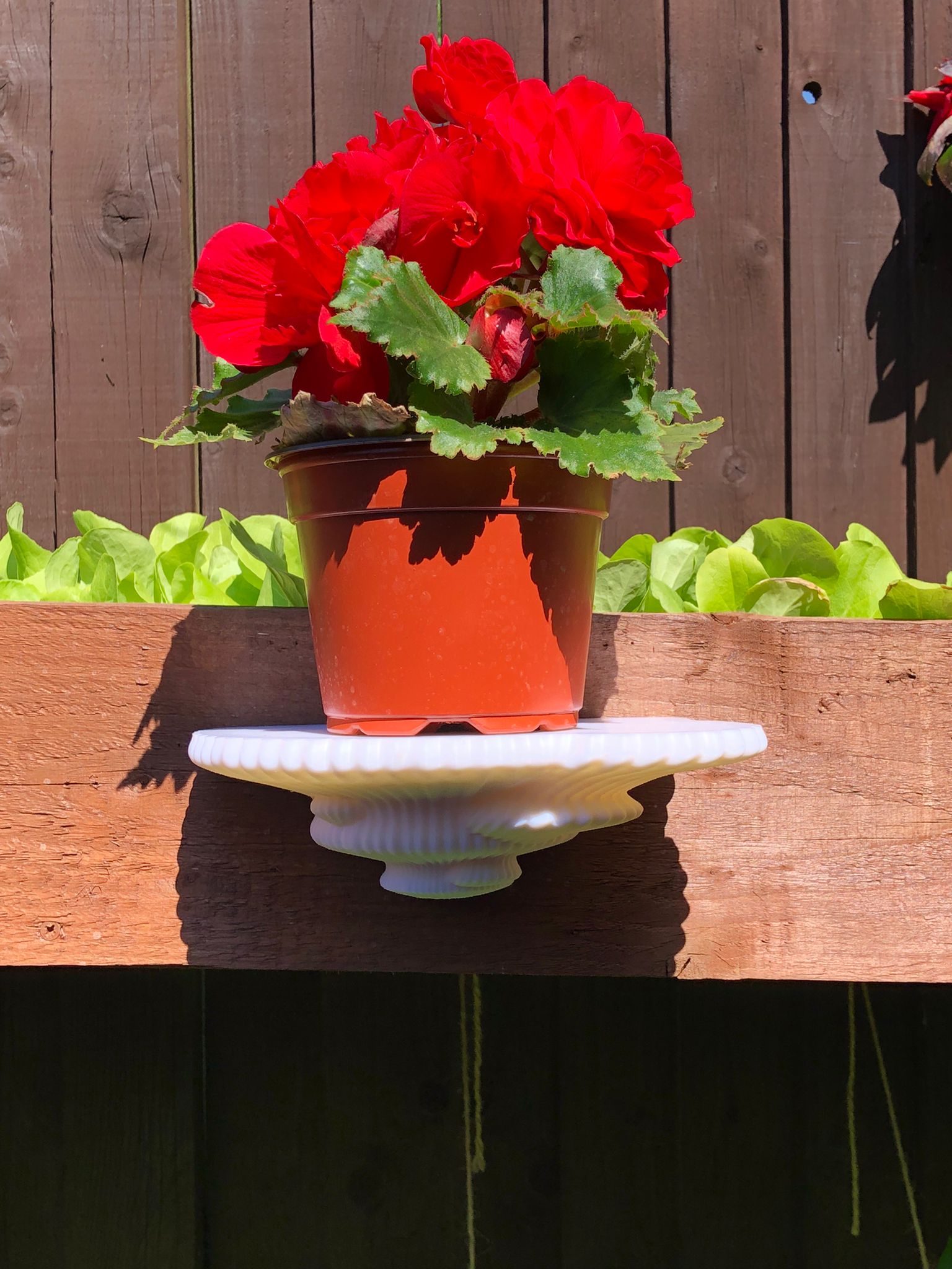 3D printed mushroom-inspired wall shelf with organic sculptural design, made from white PLA and includes mounting hardware and tape.