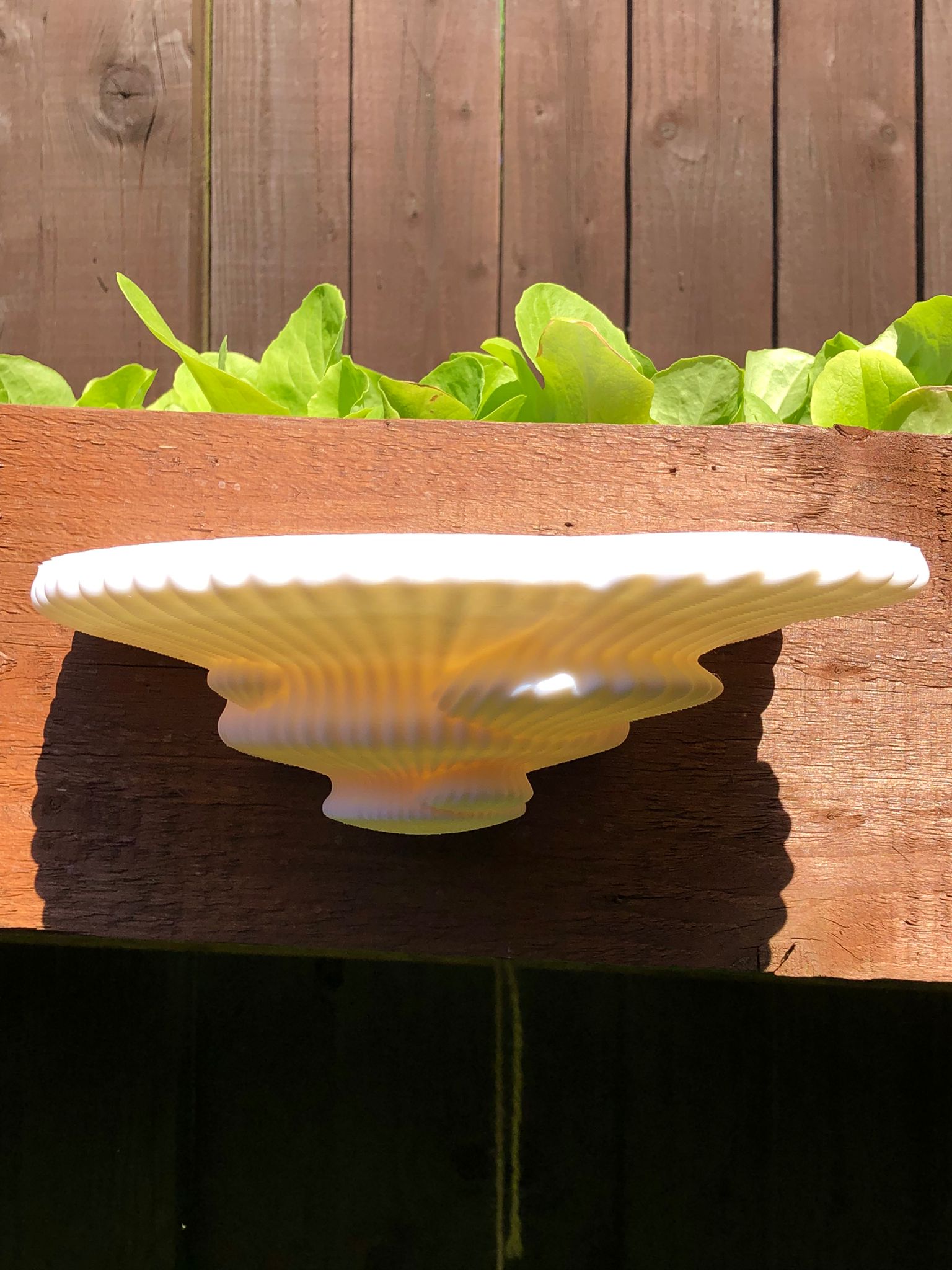 3D printed mushroom-inspired wall shelf with organic sculptural design, made from white PLA and includes mounting hardware and tape.