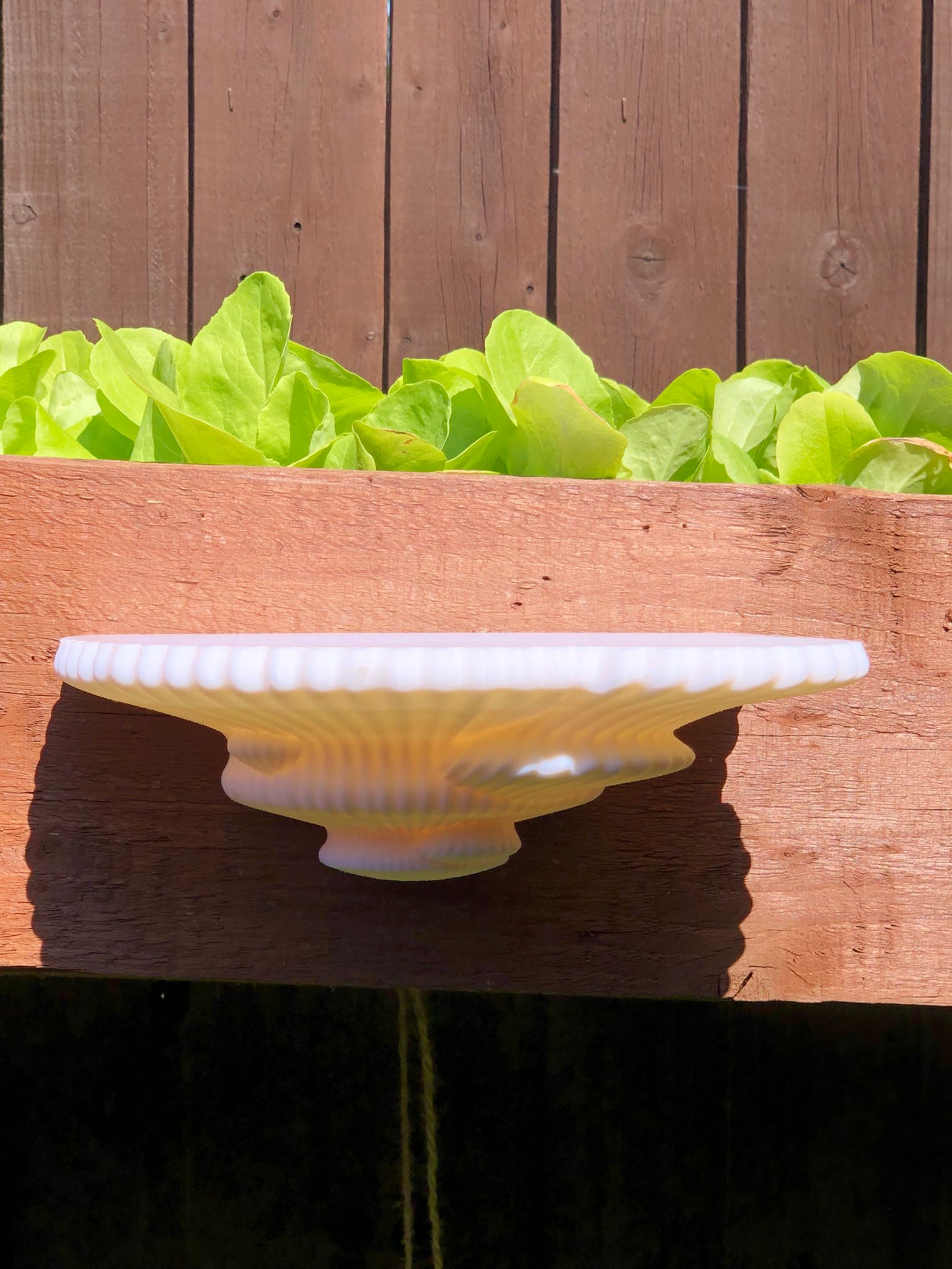 3D printed mushroom-inspired wall shelf with organic sculptural design, made from white PLA and includes mounting hardware and tape.