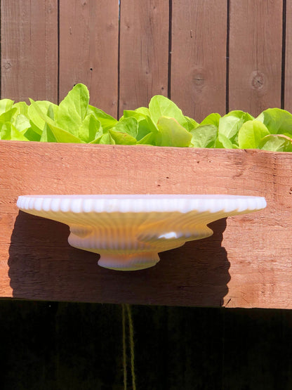 3D printed mushroom-inspired wall shelf with organic sculptural design, made from white PLA and includes mounting hardware and tape.
