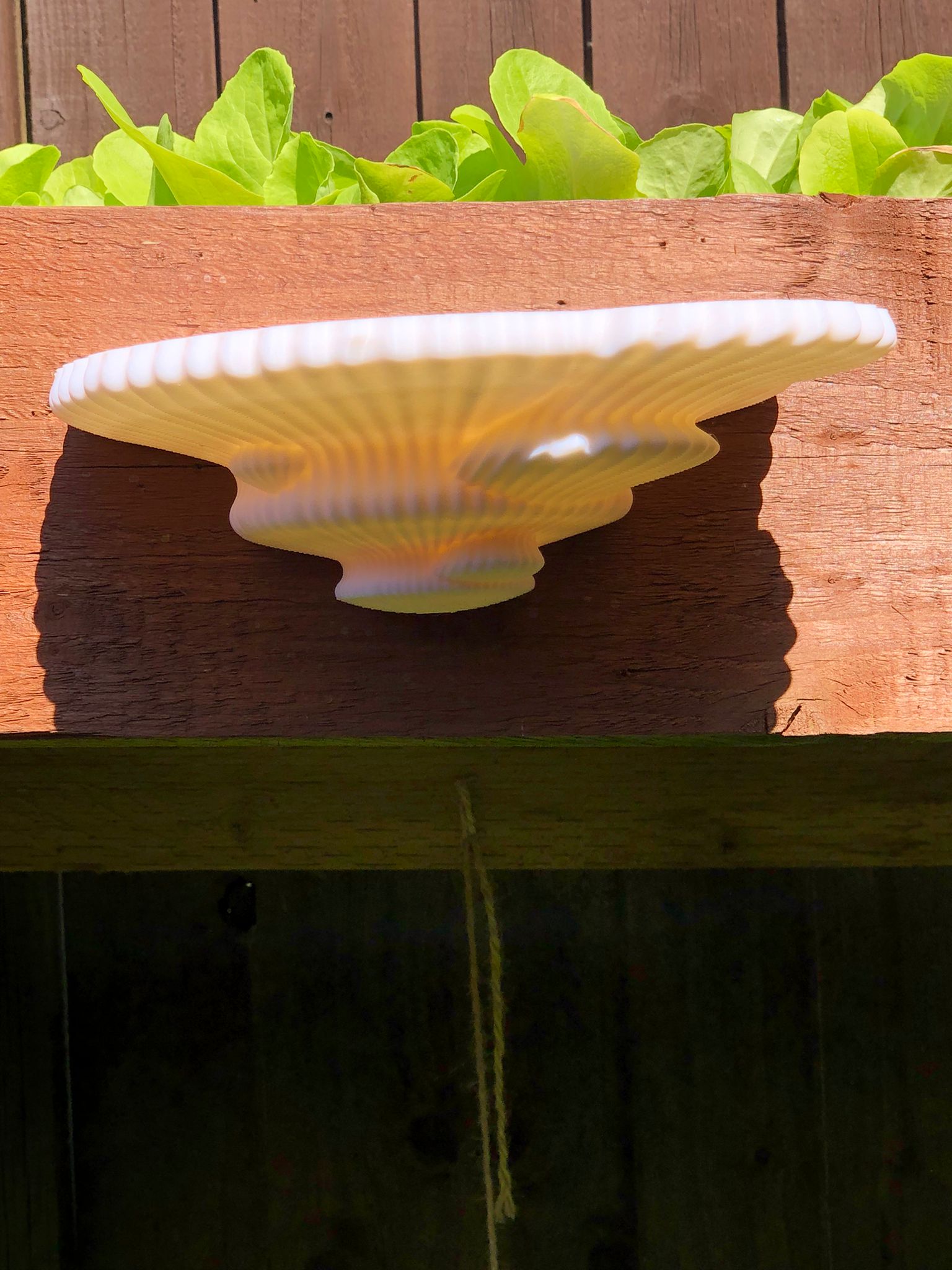 3D printed mushroom-inspired wall shelf with organic sculptural design, made from white PLA and includes mounting hardware and tape.