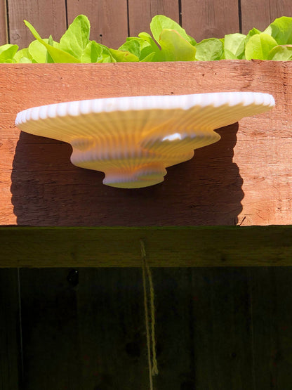 3D printed mushroom-inspired wall shelf with organic sculptural design, made from white PLA and includes mounting hardware and tape.