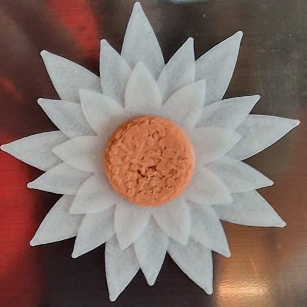 white flower with a yellow center on a reflective surface