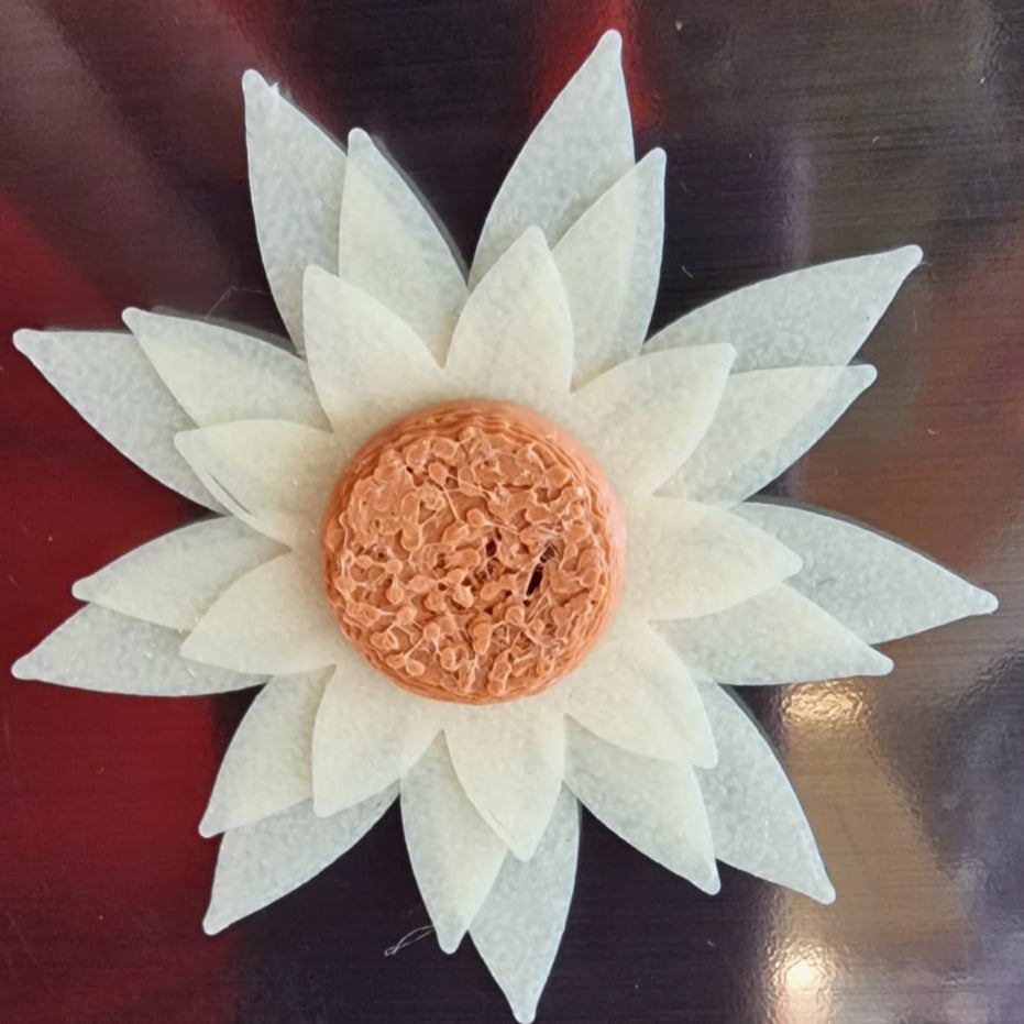White flower with a brown center on a blurred background