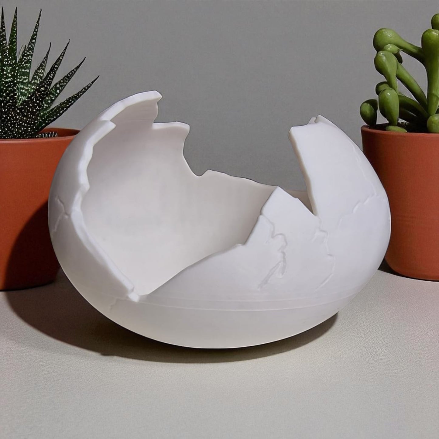 white ceramic eggshell-shaped bowl on a gray background with potted plants.