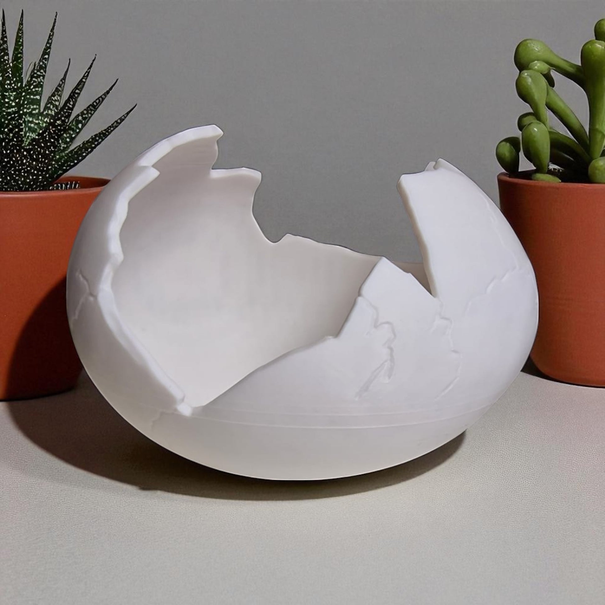 White ceramic eggshell-shaped bowl on a gray background with potted plants.