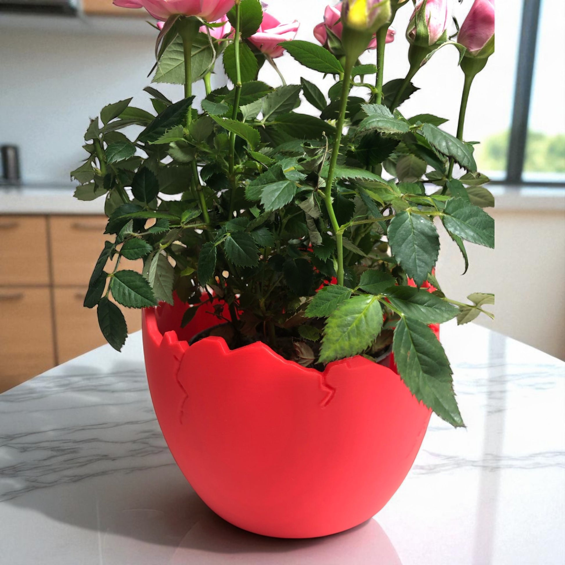 A modern cracked egg-shaped planter holding a small succulent, perfect for Easter decor and spring home styling. This unique plant pot is ideal for small to medium plants, adding a fresh and charming touch to any windowsill, desk, or shelf.