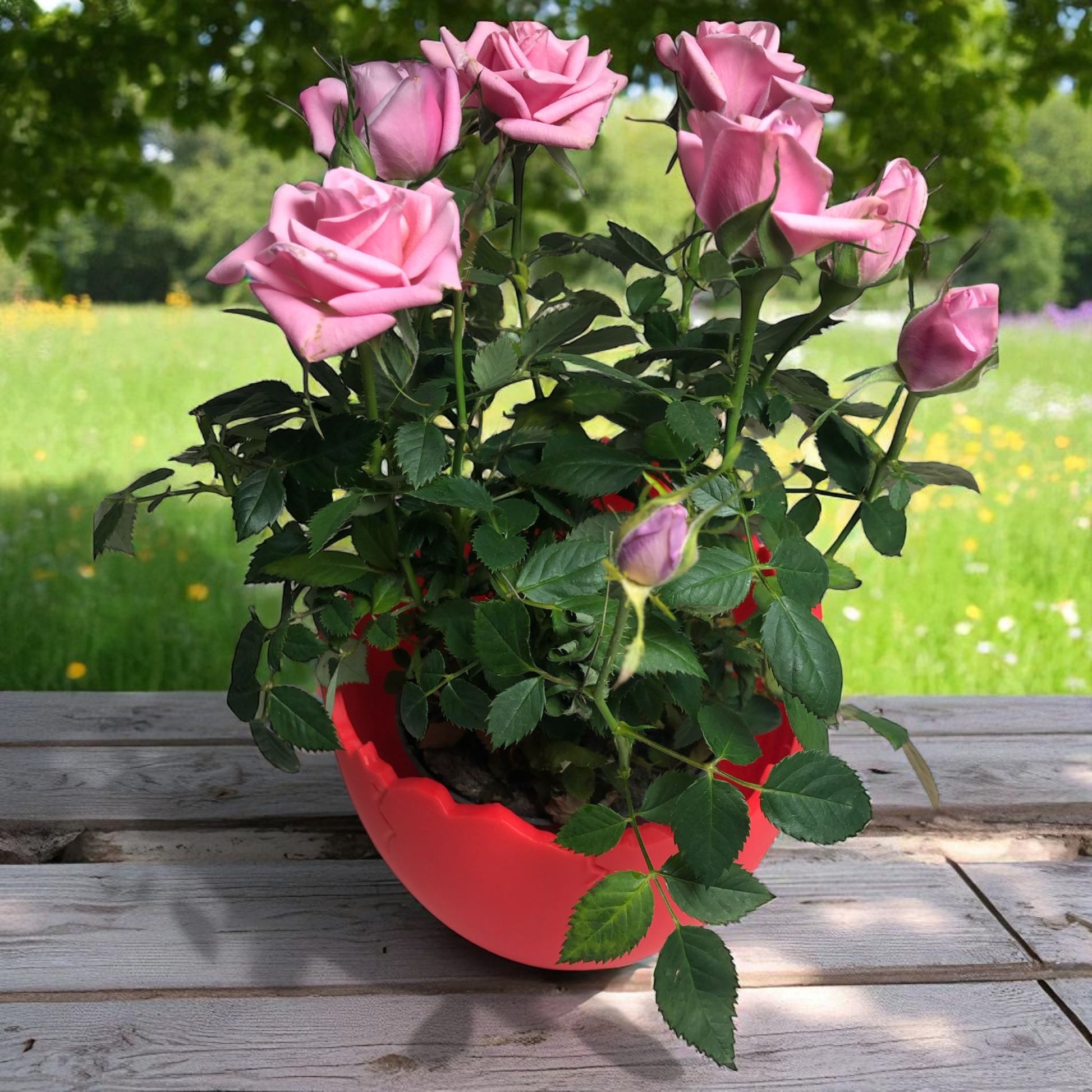 A modern cracked egg-shaped planter holding a small succulent, perfect for Easter decor and spring home styling. This unique plant pot is ideal for small to medium plants, adding a fresh and charming touch to any windowsill, desk, or shelf.