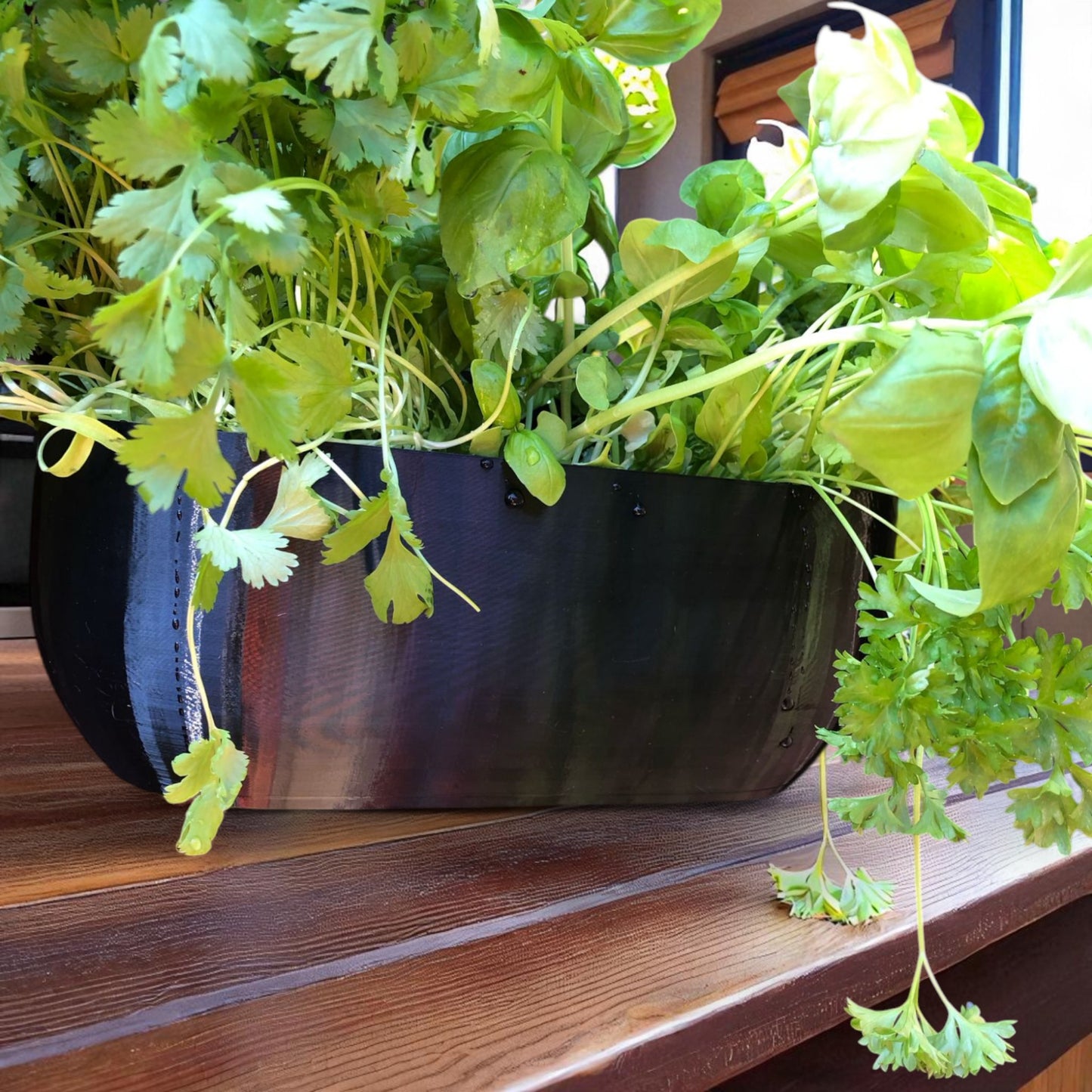 modern rectangular wall planter with rounded corners, mounted on a wall and planted with fresh herbs like parsley, coriander, and basil. the large 3d printed planter is shown in use indoors, highlighting its sleek design and easy wall-mount installation with screws or tape