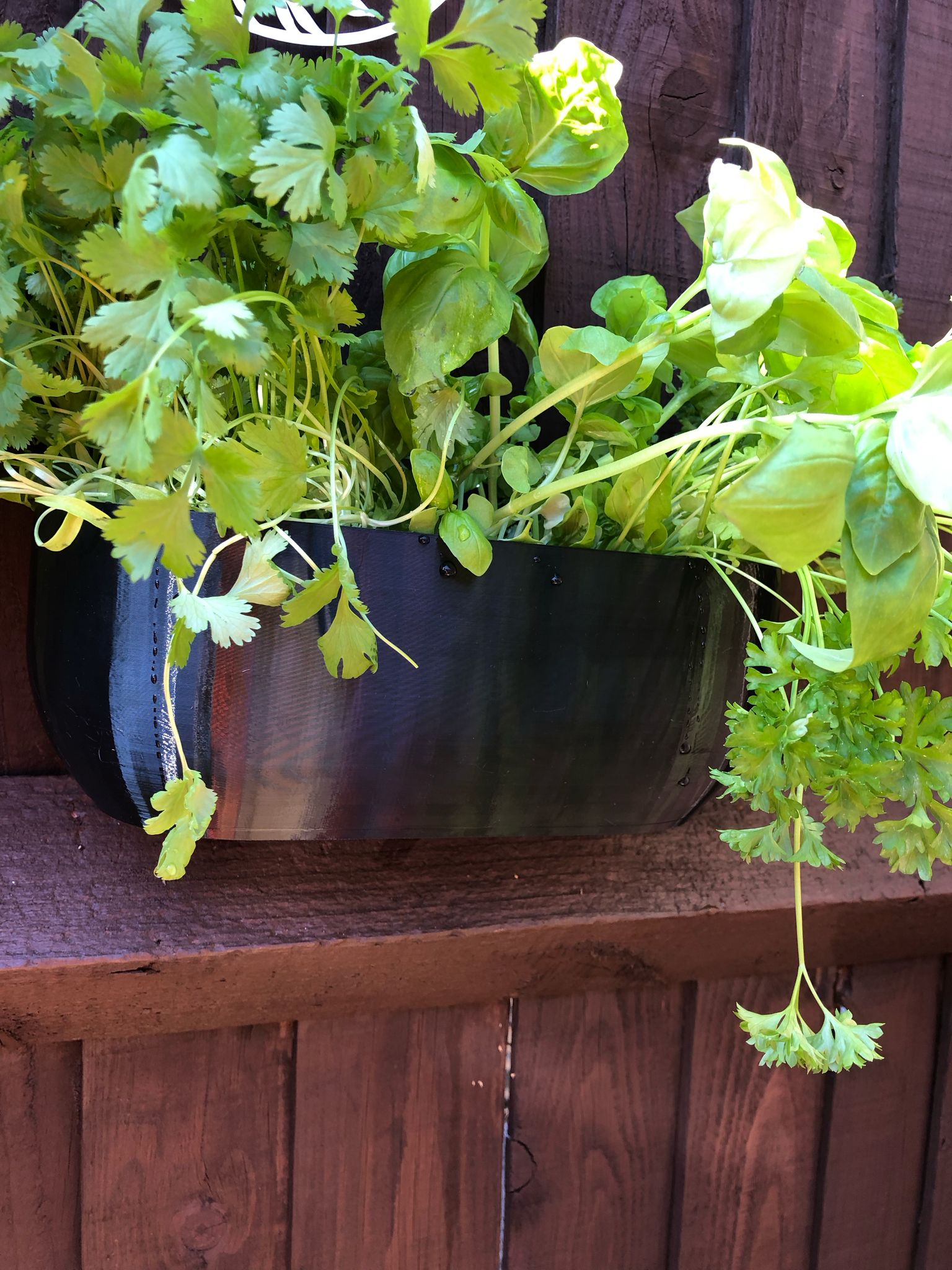 Modern rectangular wall planter with rounded corners, mounted on a wall and planted with fresh herbs like parsley, coriander, and basil. The large 3D printed planter is shown in use indoors, highlighting its sleek design and easy wall-mount installation with screws or tape