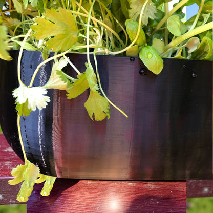 Modern rectangular wall planter with rounded corners, mounted on a wall and planted with fresh herbs like parsley, coriander, and basil. The large 3D printed planter is shown in use indoors, highlighting its sleek design and easy wall-mount installation with screws or tape