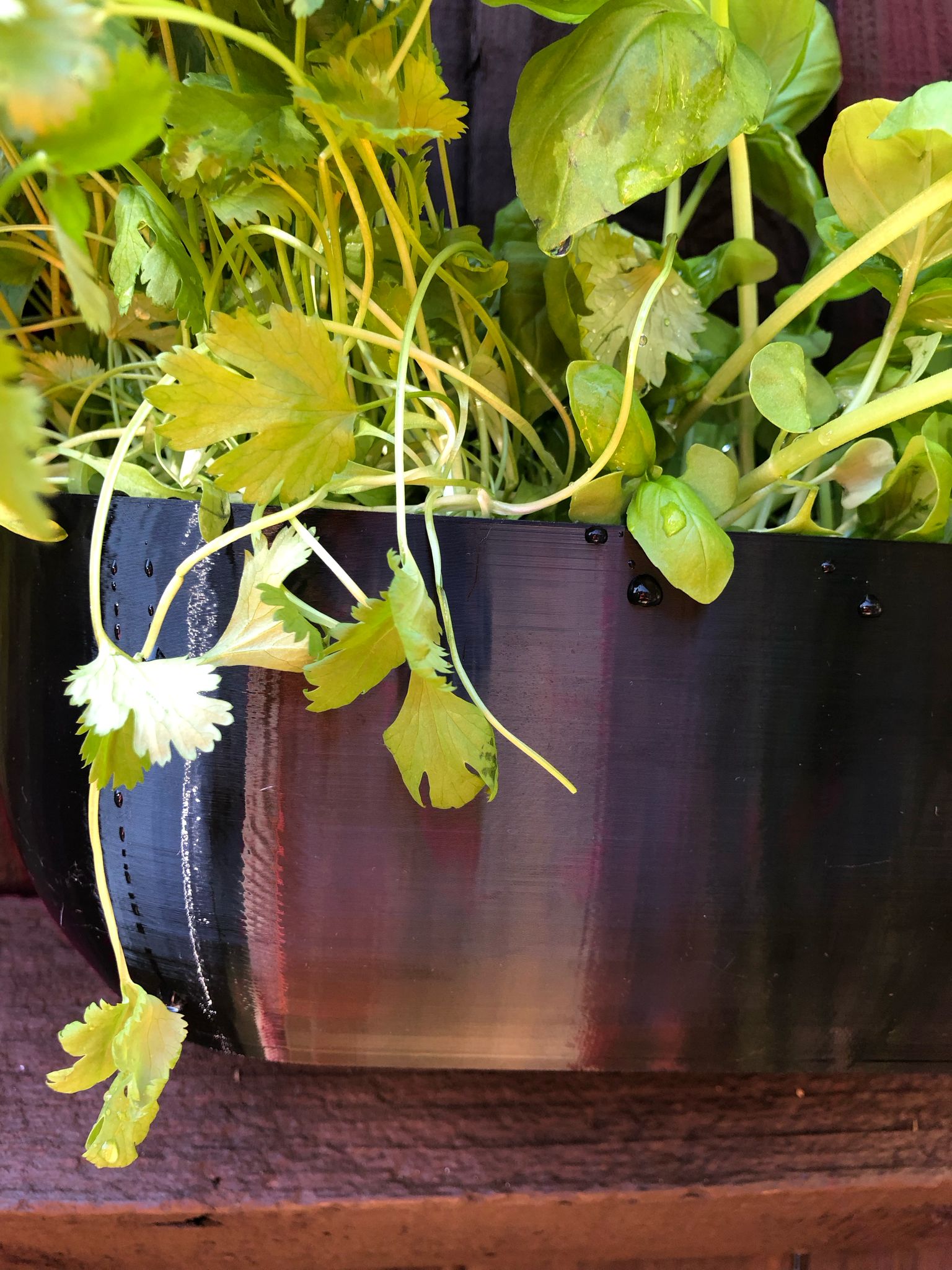 Modern rectangular wall planter with rounded corners, mounted on a wall and planted with fresh herbs like parsley, coriander, and basil. The large 3D printed planter is shown in use indoors, highlighting its sleek design and easy wall-mount installation with screws or tape