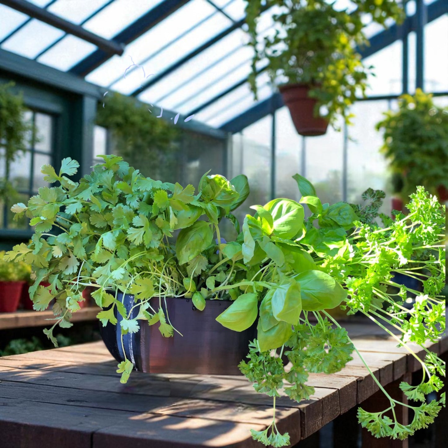 modern rectangular wall planter with rounded corners, mounted on a wall and planted with fresh herbs like parsley, coriander, and basil. the large 3d printed planter is shown in use indoors, highlighting its sleek design and easy wall-mount installation with screws or tape