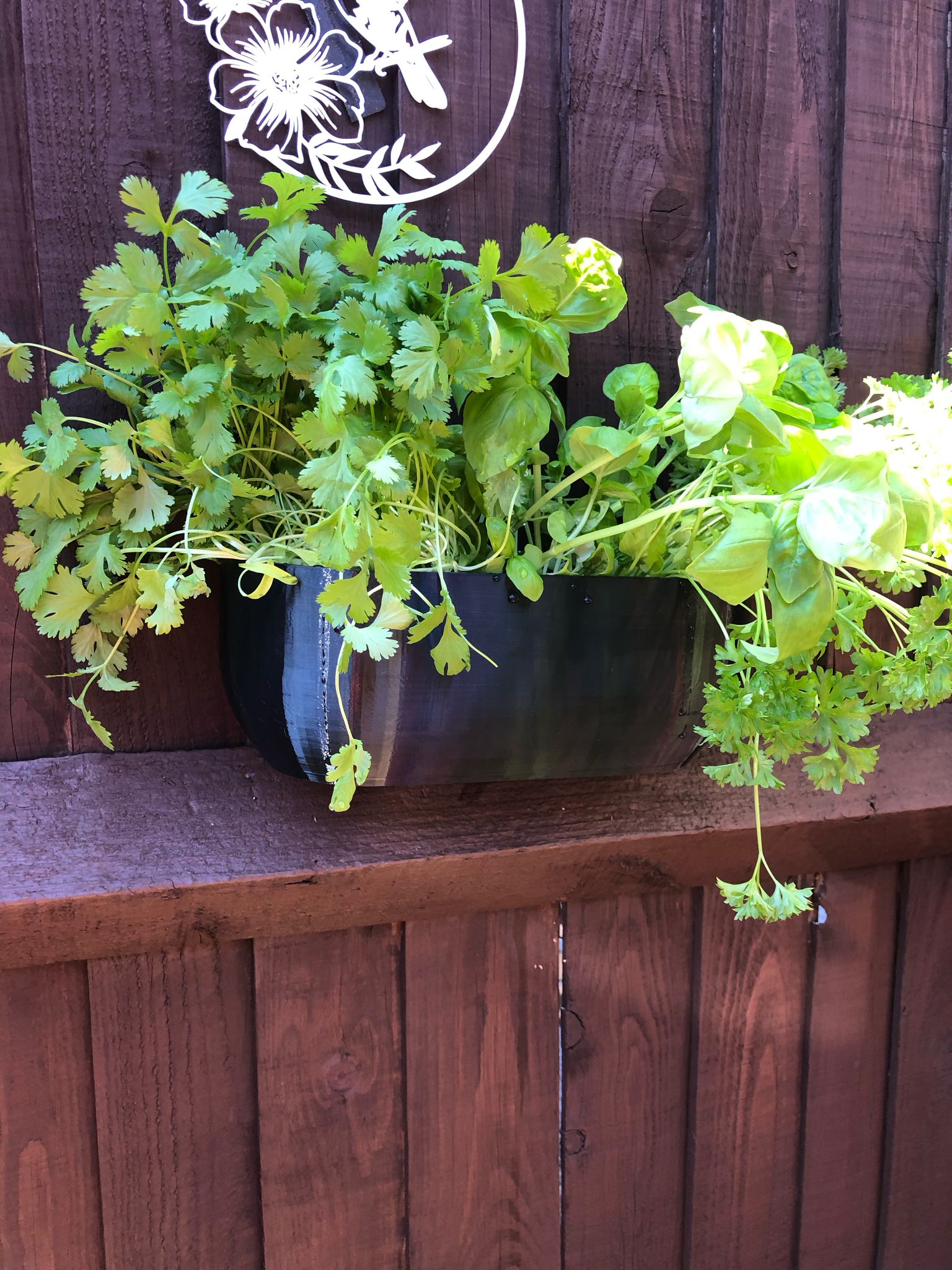 Modern rectangular wall planter with rounded corners, mounted on a wall and planted with fresh herbs like parsley, coriander, and basil. The large 3D printed planter is shown in use indoors, highlighting its sleek design and easy wall-mount installation with screws or tape