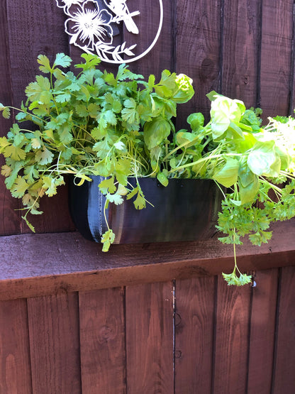 Modern rectangular wall planter with rounded corners, mounted on a wall and planted with fresh herbs like parsley, coriander, and basil. The large 3D printed planter is shown in use indoors, highlighting its sleek design and easy wall-mount installation with screws or tape